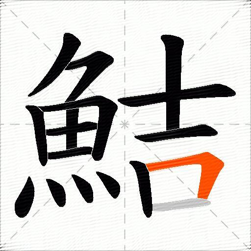 鮚