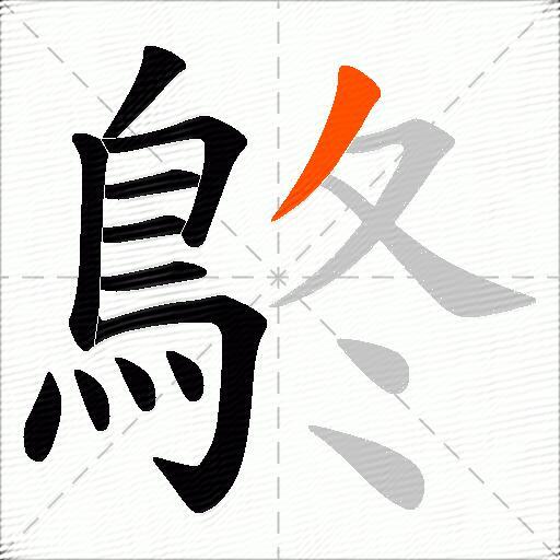 鴤