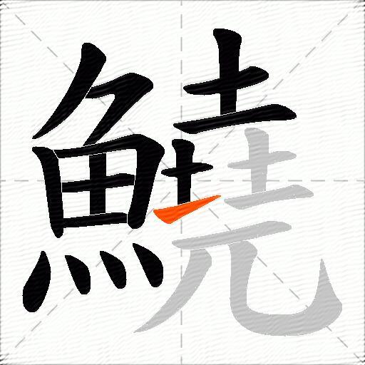 鱙