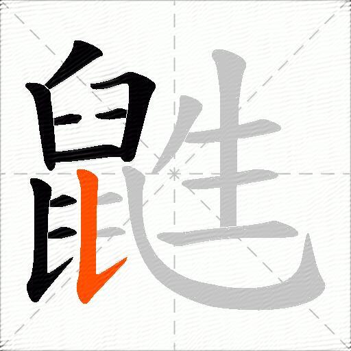 鼪