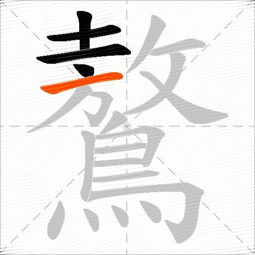 鷔
