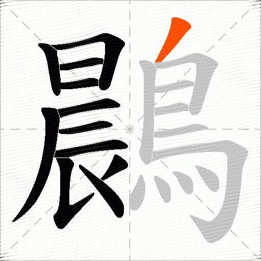鷐
