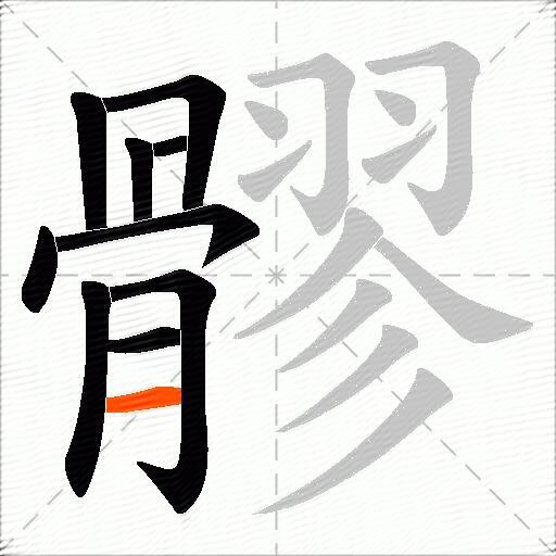 髎