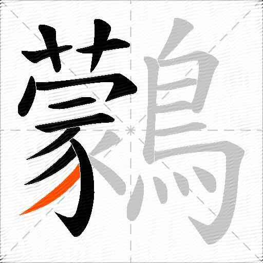 鸏