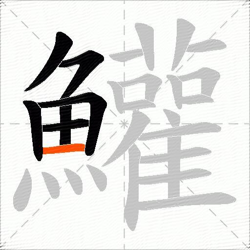 鱹