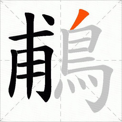 鵏