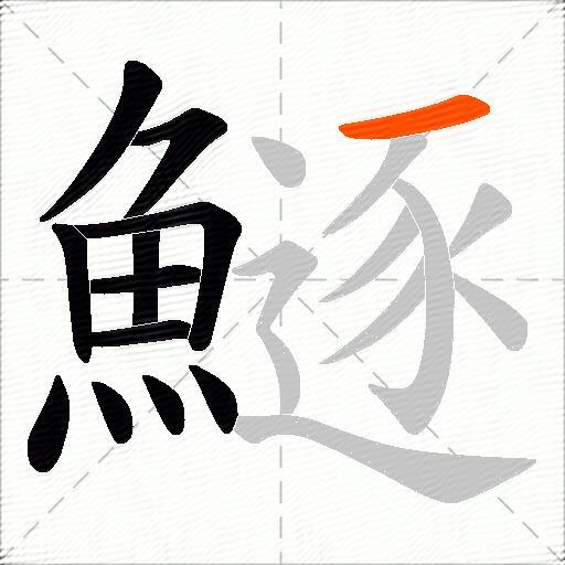 鱁