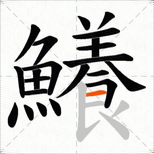 鱶