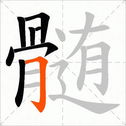 髄