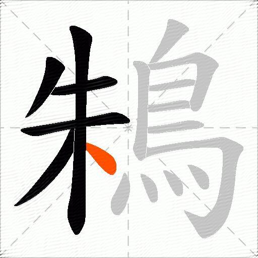 鴸