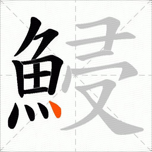 鮼