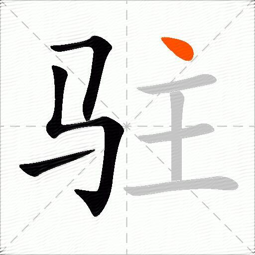驻