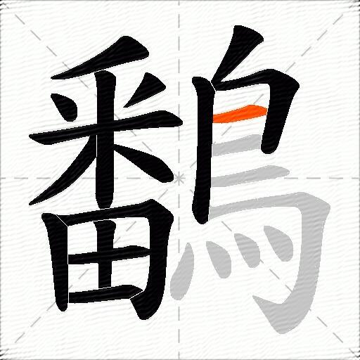 鷭