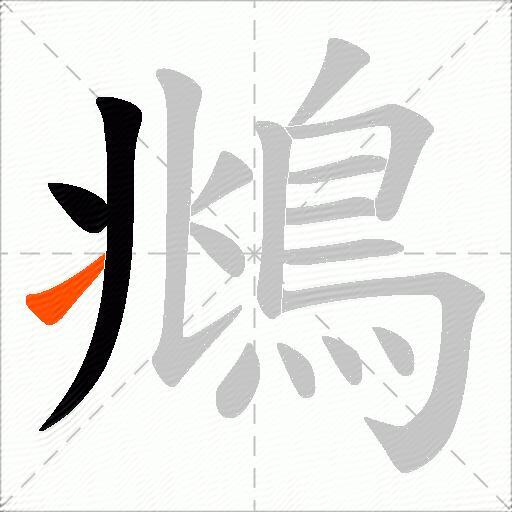 鴵