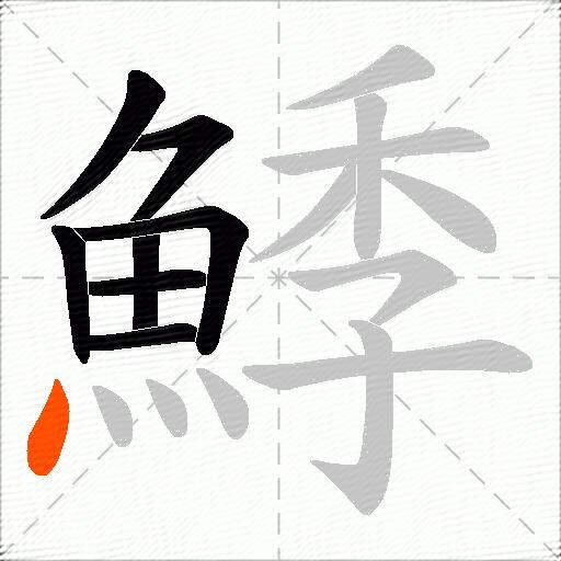 鯚
