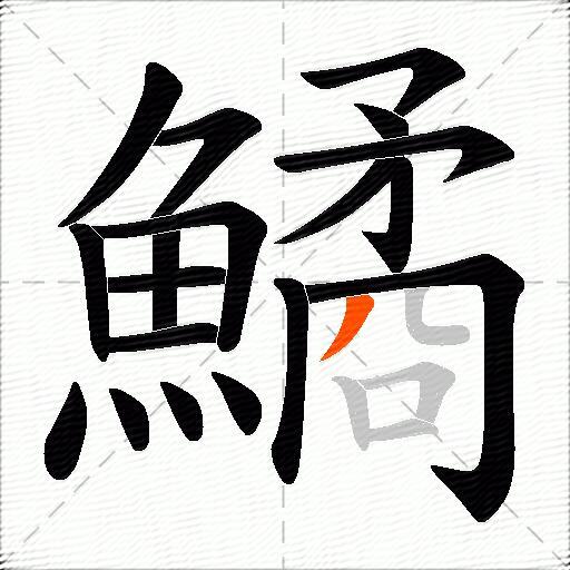 鱊