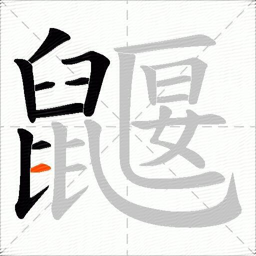鼴