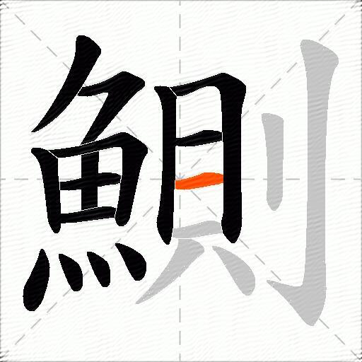 鰂