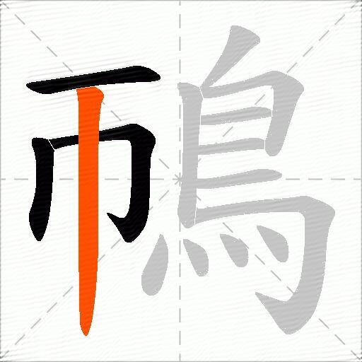 鳾
