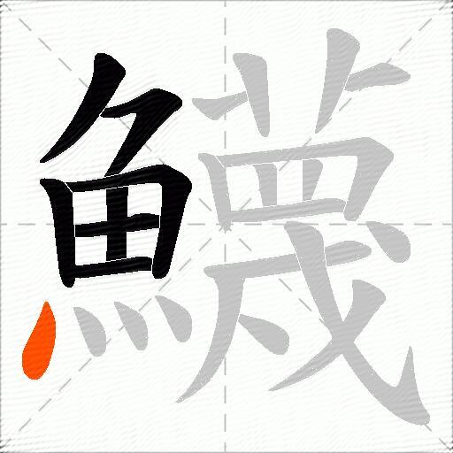 鱴