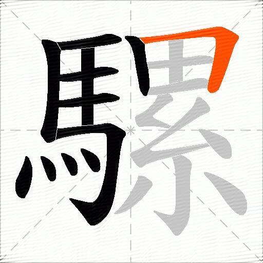 騾