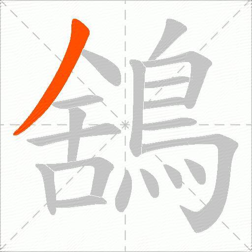 鵨