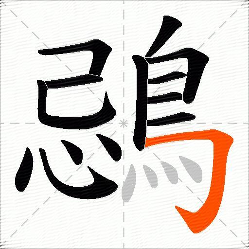 鵋