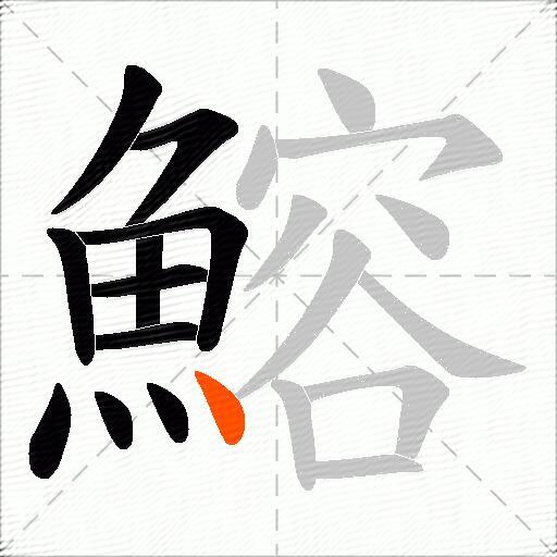 鰫