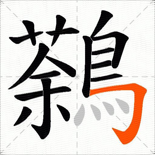 鷋