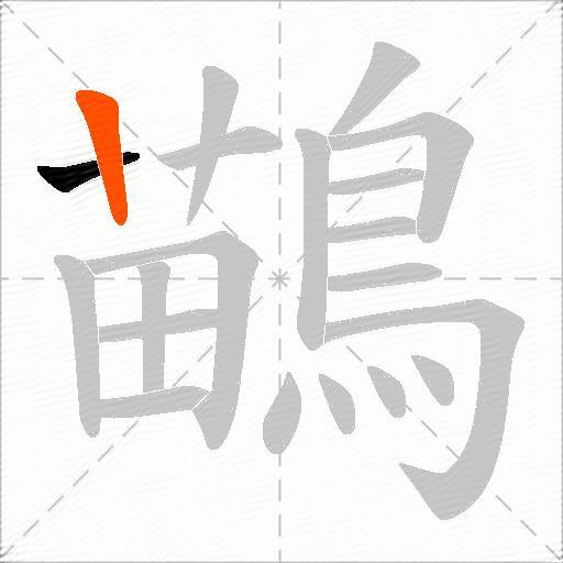 鶓