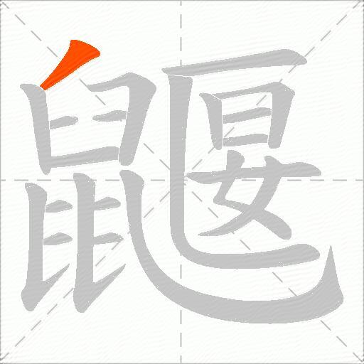 鼴