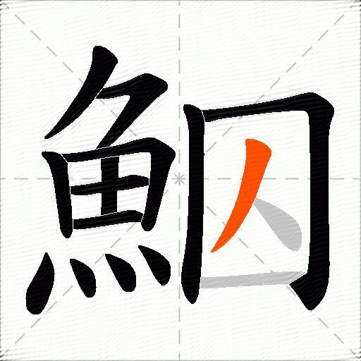 鮂