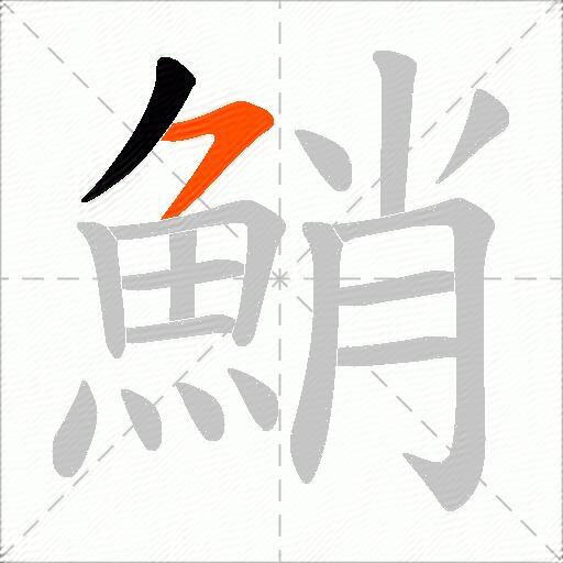 鮹
