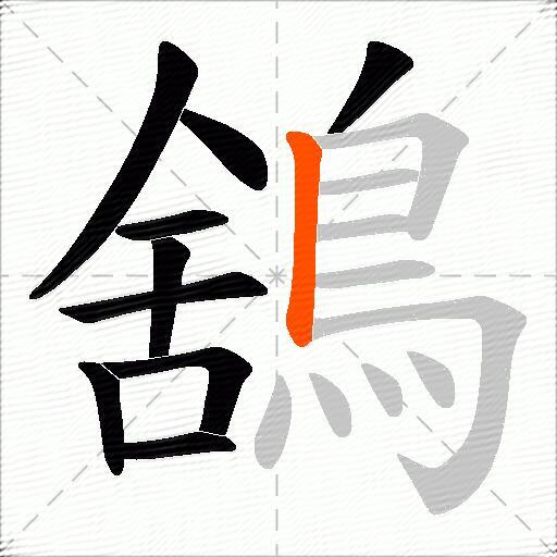 鵨