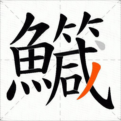 鱵