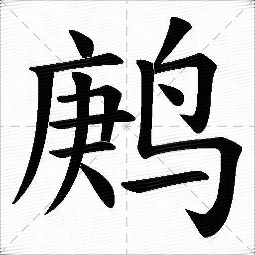 鹒