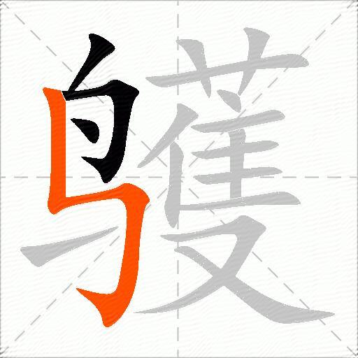 鹱