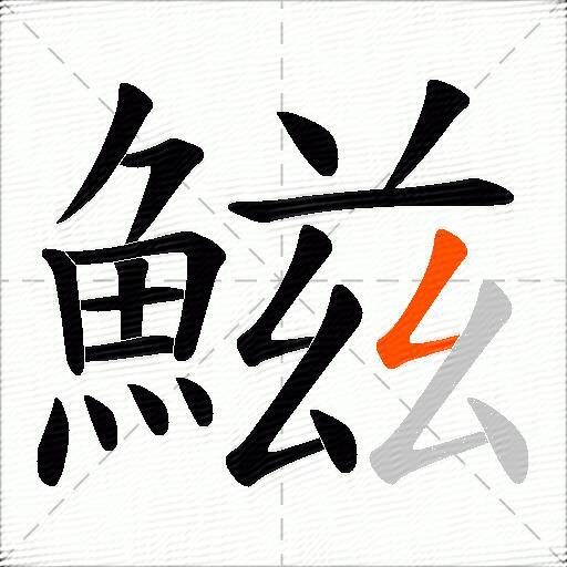 鰦