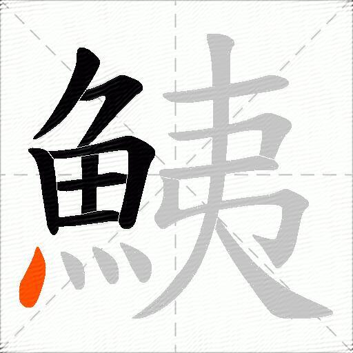 鮧