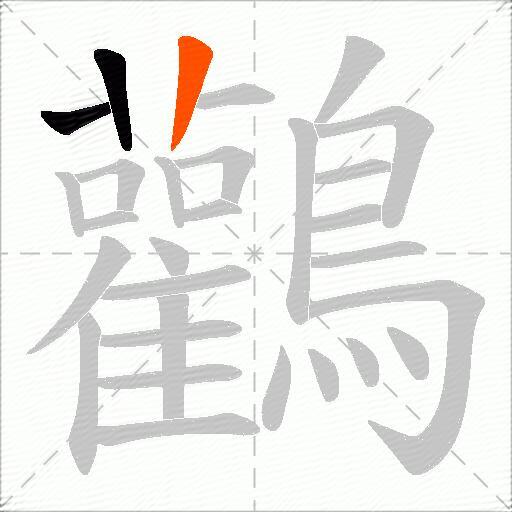 鸛