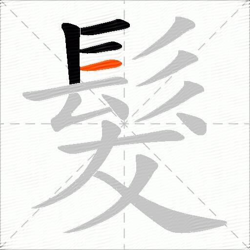 髮
