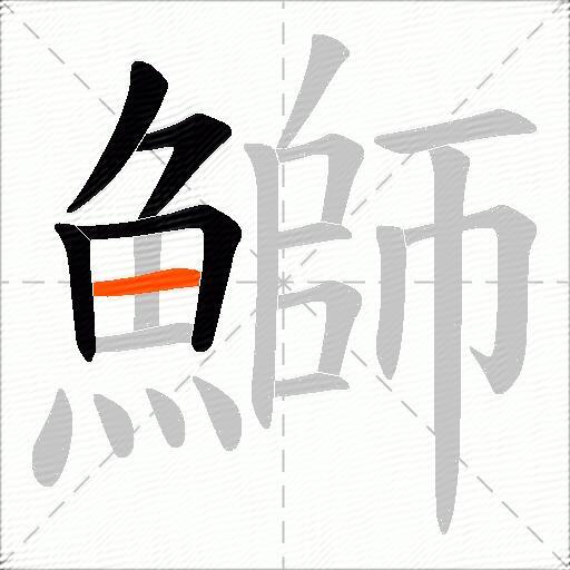 鰤