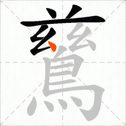 鶿