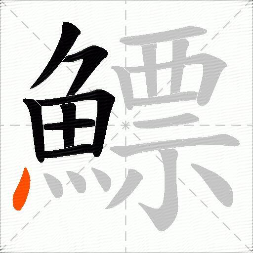 鰾