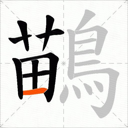 鶓