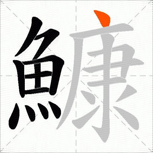 鱇