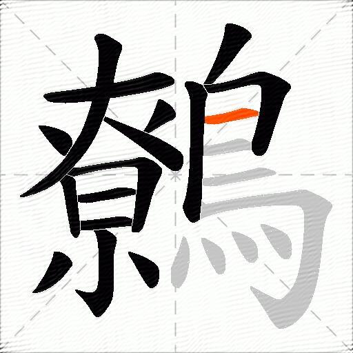 鷯