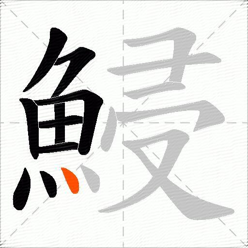 鮼