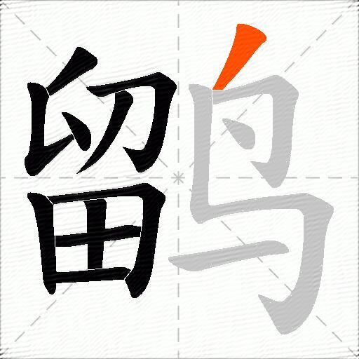 鹠