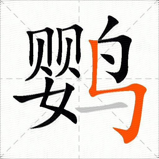 鹦